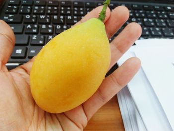 Close-up of hand holding apple