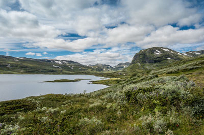 Landscape at toviken, fødalen and lake djupsvatnet, norway
