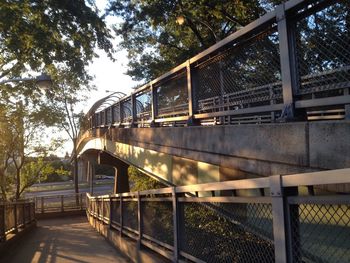 Footbridge by trees