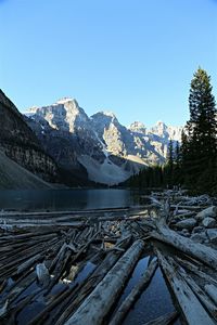 Driftwoods in lake by rocky mountains against clear blue sky