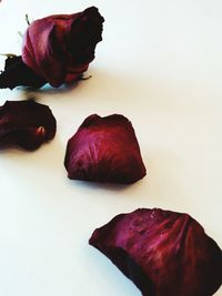 Close-up of food over white background