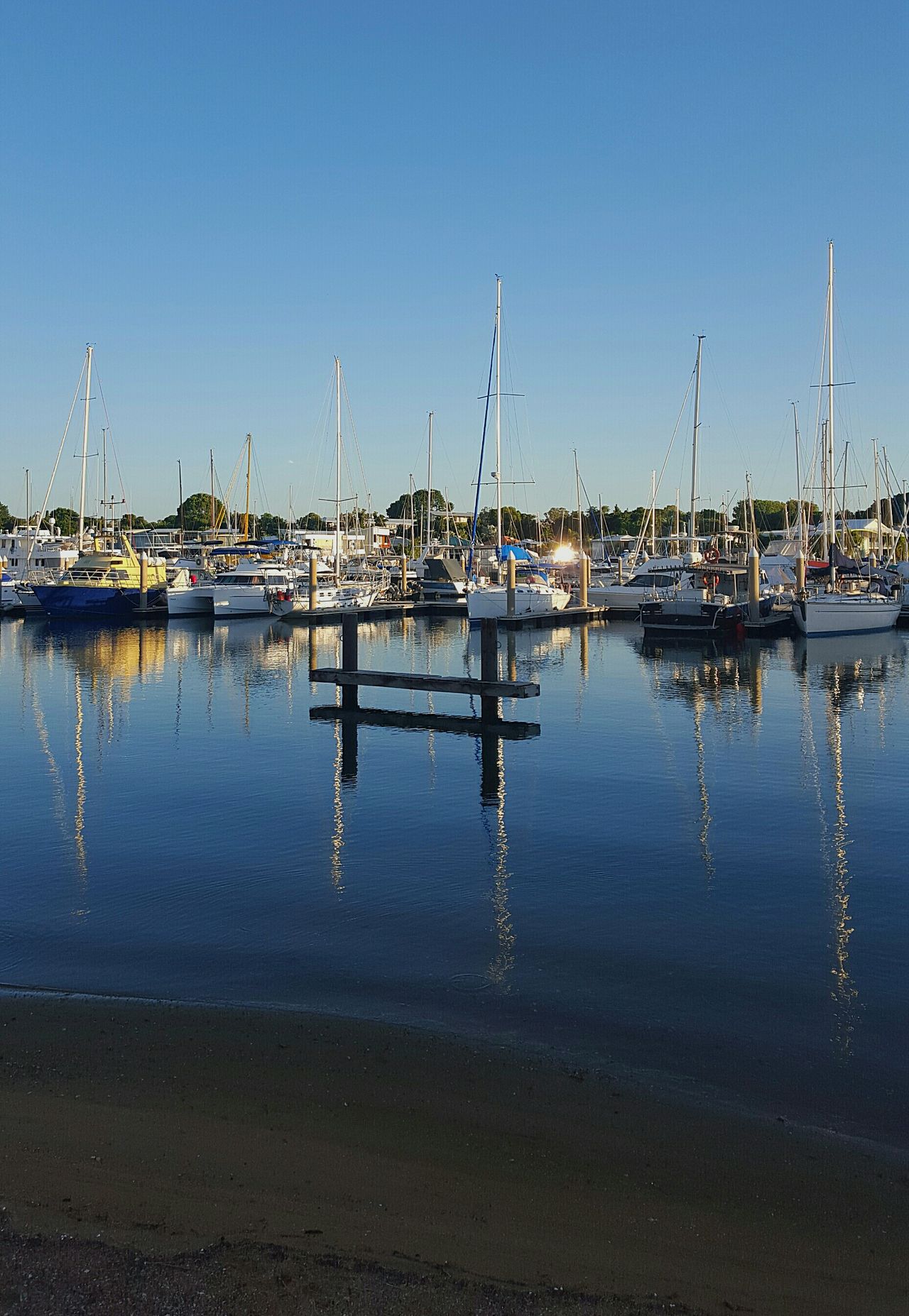 Marina reflections