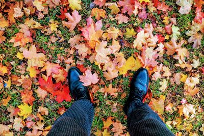 Low section of person standing on autumn leaves