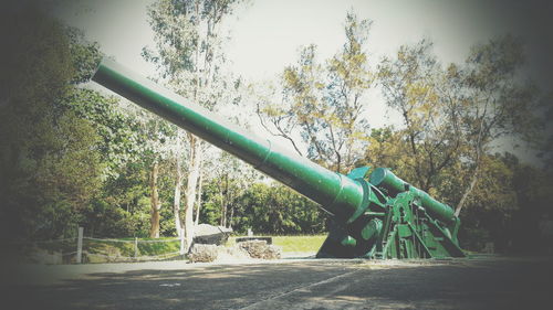 Scenic view of tree against sky