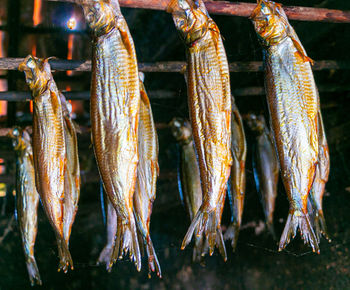 Close-up of fish for sale