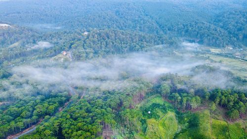 High angle view of trees on landscape