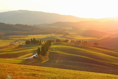 Scenic view of agricultural field against sky during sunset