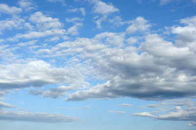 Low angle view of bird flying against cloudy sky