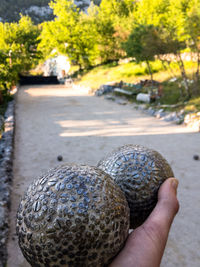 Close-up of hand holding fruit on road