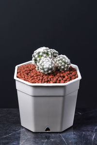 Close-up of dessert on table against black background