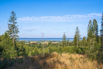 Plants growing on land against sky