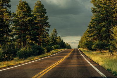 Country road amidst trees against sky