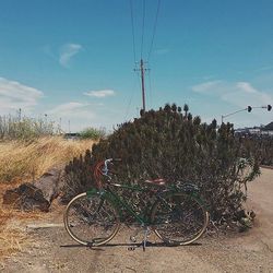 Parked plants against sky