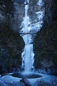 Scenic view of waterfall in forest