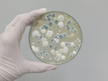 healthcare and medicine