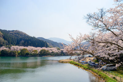 Scenic view of lake against clear sky