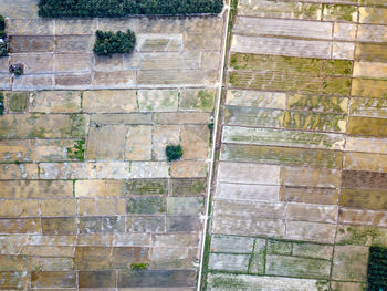 Aerial view of trees on land