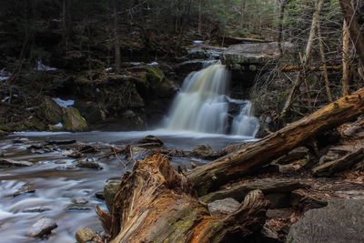 View of waterfall in forest