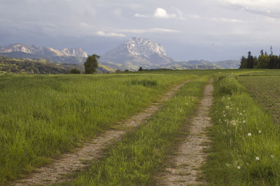 Scenic view of agricultural field against sky