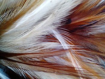 Detail shot of abstract background