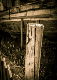 Close-up of wooden fence