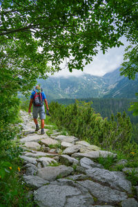 Rear view of man walking on mountain