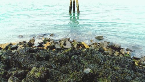 Rocks in sea