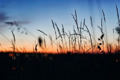 Silhouette landscape against sunset sky