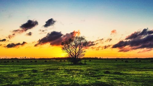 Scenic view of field against sky during sunset