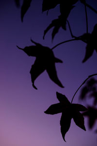 Close-up of silhouette plant against sky during sunset