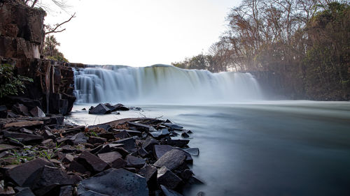 Scenic view of waterfall in forest