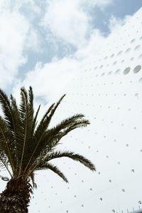 Low angle view of palm tree against sky