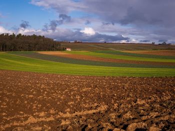 Scenic view of agricultural field against sky