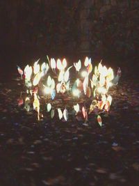 Close-up of burning candles in temple