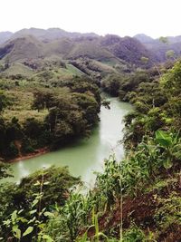 Scenic view of mountains