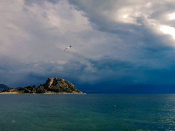 Bird flying over sea against sky