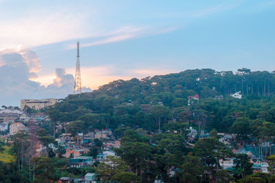 Trees and buildings against sky