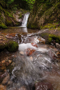 Stream flowing through rocks in forest