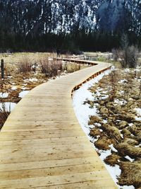 Surface level of snow covered footpath amidst trees in forest