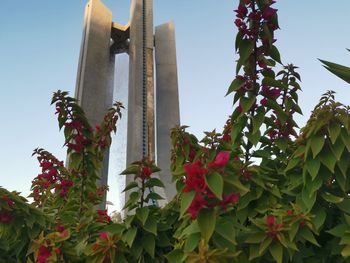 Low angle view of flowering plant against sky