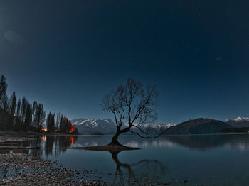 Bare tree on lake against sky at dusk