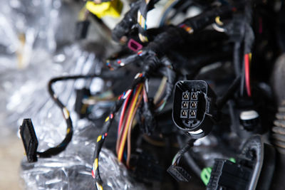 Close-up of black cat on bicycle