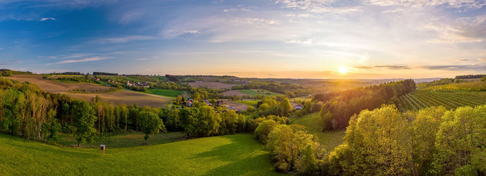 Scenic view of field against sky during sunset