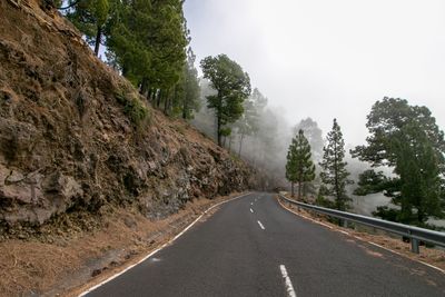 Road amidst trees against sky