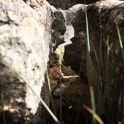 Rocks in sea