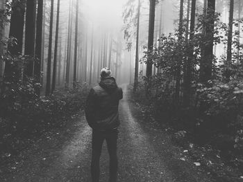 Rear view of man walking on road in forest