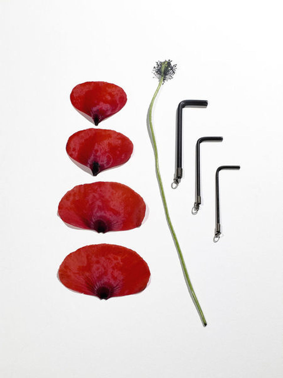 HIGH ANGLE VIEW OF RED CHILI PEPPER AGAINST WHITE BACKGROUND