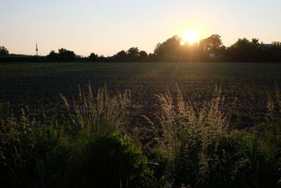 Scenic view of field against sky during sunset