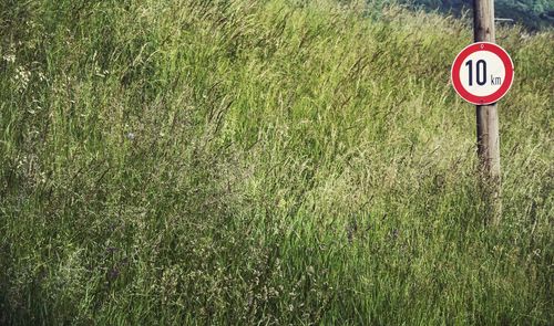 Information sign on grass