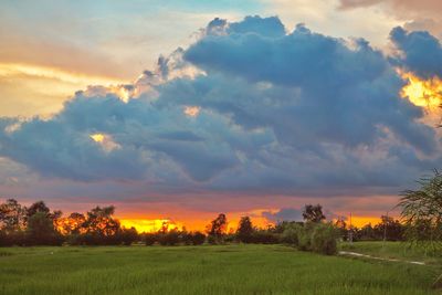 Scenic view of field against sky during sunset